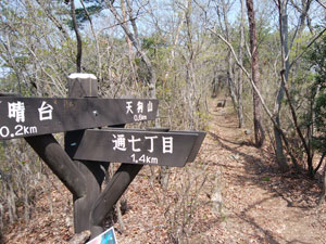 �����ʉ�