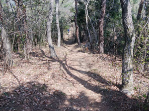 分岐からの登山道。