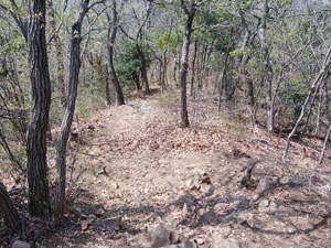 ���R�J�n�`