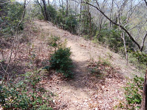 �ѓ��ۂ���