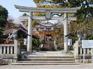 ���_�_��