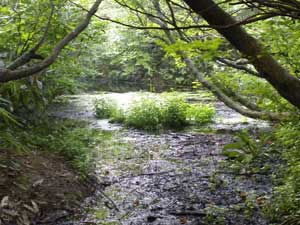 �r�H���H�H