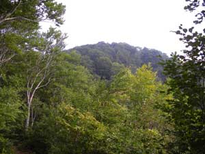 ���ꂪ�R���`�H