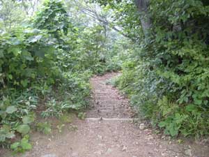 �ؒi������