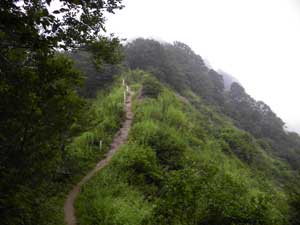 �ׂ߂́A�}�ȏ��