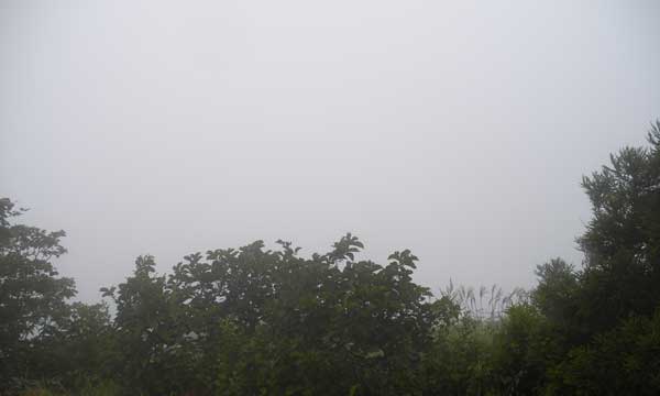 �R���t�߂���̒���