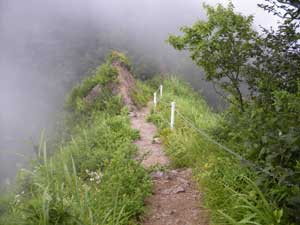 �ׂ߂̔���������`"