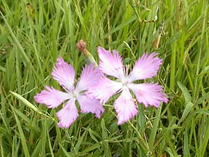 �j�����\�E"