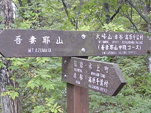 ���򂪌��ꂽ�B