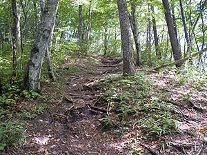 ���򂩂�̓o�R����i�ށ`