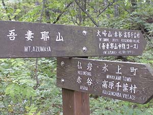 ����ɓ����`