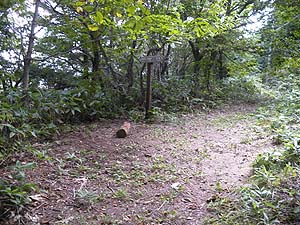 ���R �R��(1254.5m)