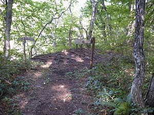  ��Ȗ�R ���̕���