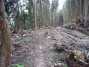  ��Ɠ��������炱�����