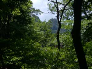 �������炩�����Ɍ�����