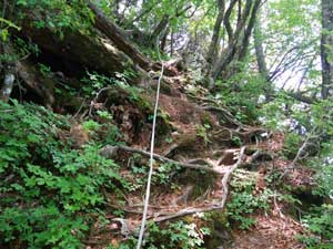 ���[�v��