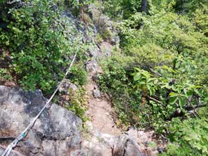 �U�O�}�R����̓�