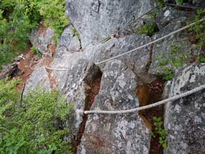 �}�Ȋ�������