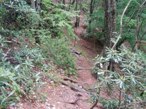 �Ԃ��炢�Ė���