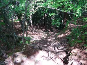 ���R�J�n�`