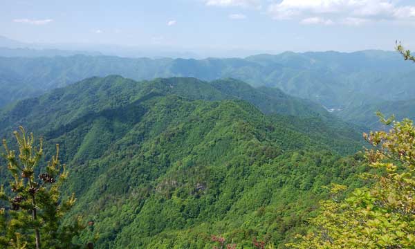 三笠山からの眺め