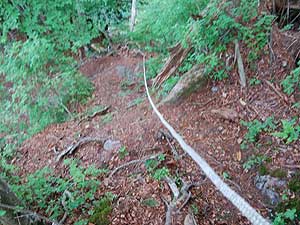 �}�ȃ��[�v��