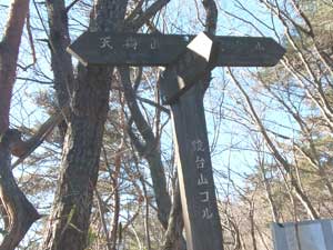 ����R�̃R��