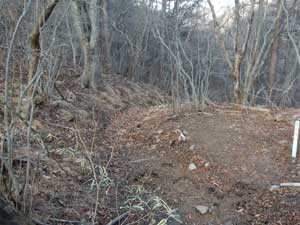 �W������̓o�R���B