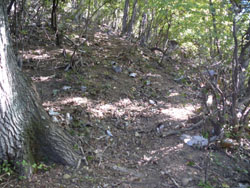 ���̕ӂ�̓o�R��