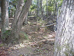 �}�΂̃��[�v�̒����Ă���ꏊ