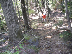 �}�΂̃��[�v�̒����Ă���ꏊ