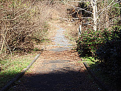 �o�R�������