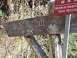 �����̕W��