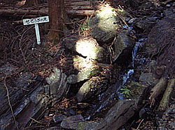 �����炬�̑�