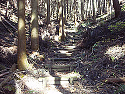 �������ꂽ�o�R��