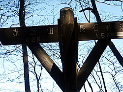 �X�M�т̒������