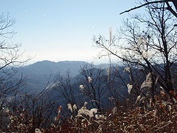 �R���̓���