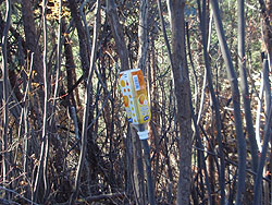 �y�b�g�{�g��2