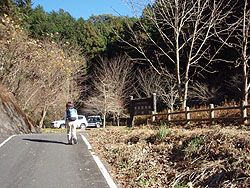 �A�X�t�@���g�̓�