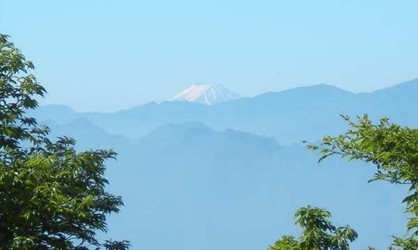 山頂からの眺め