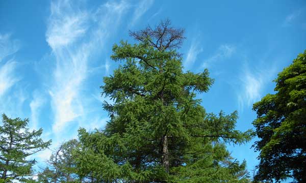 山頂からの眺め