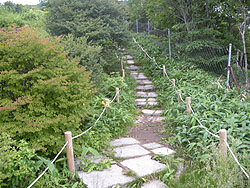 �W�]�䂩��̓o�R���B