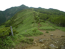 �L�X�Q������̓o�R��