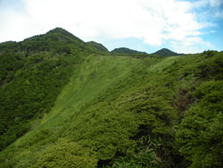 �C�����ǂ��Ő��̓o�R��