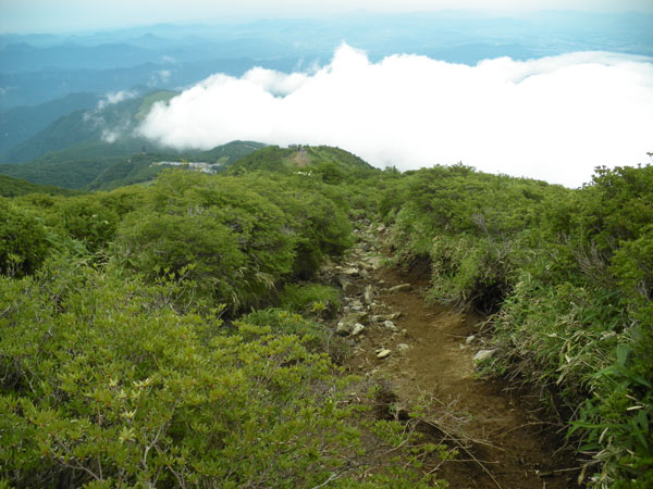 ���Ő^����