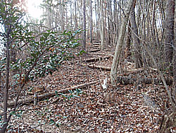 �o�R���̗l�q