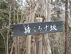 �����낰��