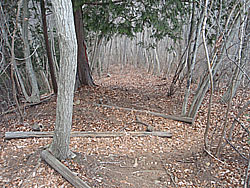 �����낰��