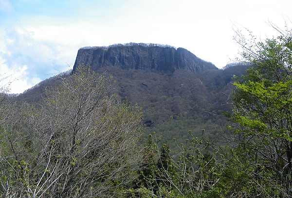 �r�D�R 䃊�i�g���C���j