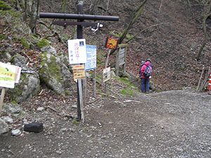 ���R���o�R��